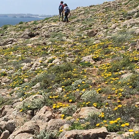 度假居 Your Vintage Townhouse *