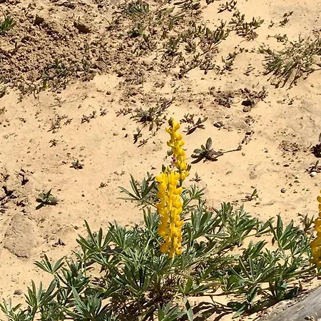 Σπίτι διακοπών Your Vintage Townhouse *