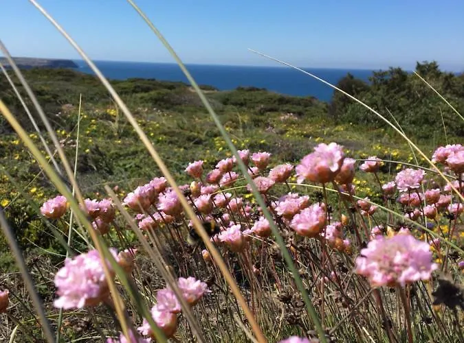 Your Vintage Townhouse לאגוּ‏ש