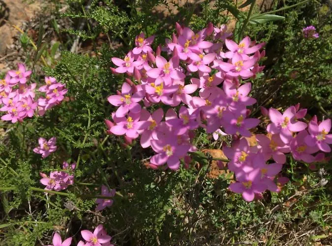 Your Vintage Townhouse *