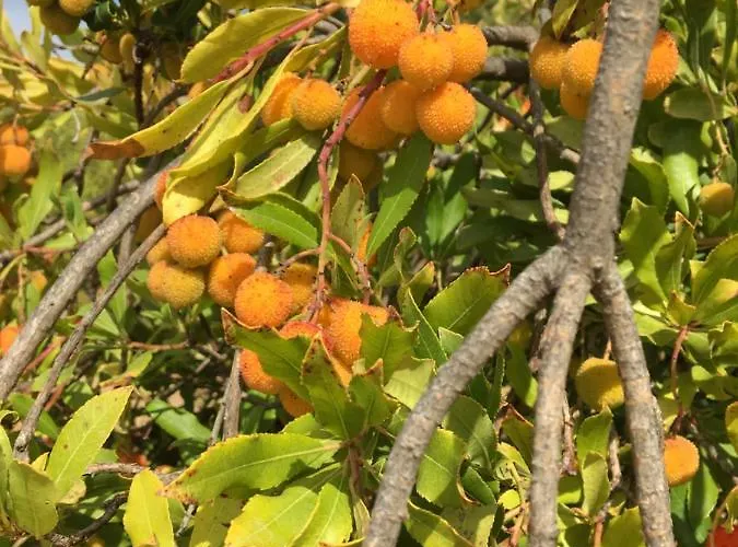 Your Vintage Townhouse בית נופש