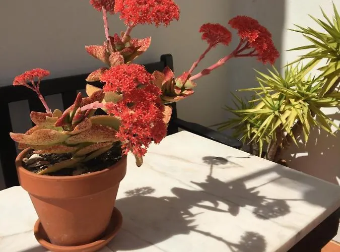 Your Vintage Townhouse 펜션 라고스