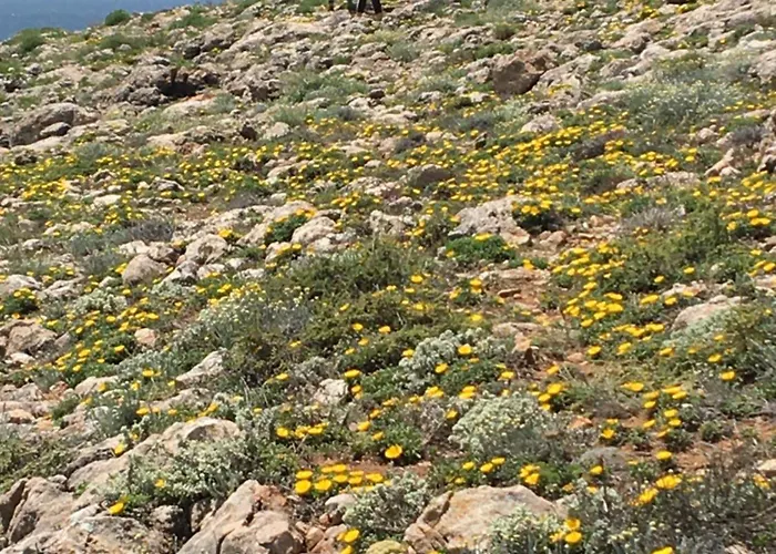 펜션 Your Vintage Townhouse *