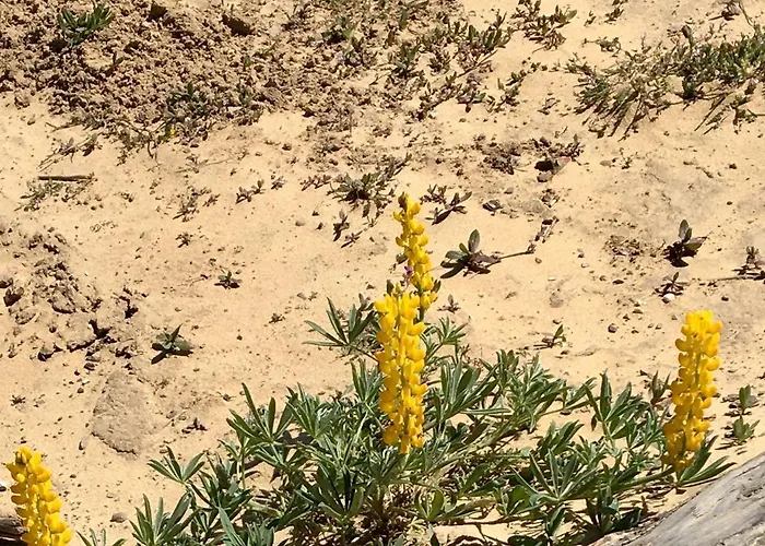 펜션 Your Vintage Townhouse *