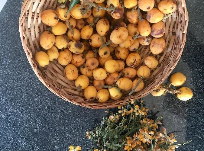 Your Vintage Townhouse 펜션 라고스