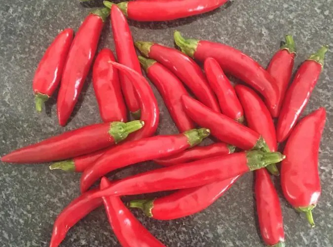 펜션 Your Vintage Townhouse