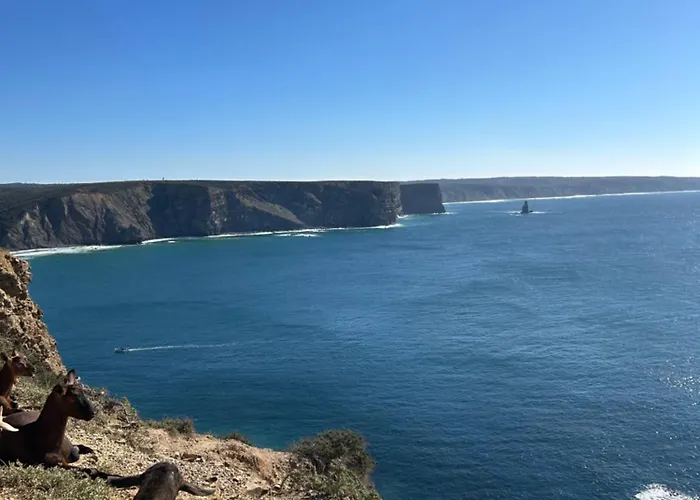 Your Vintage Townhouse